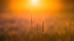 Wiosenny zachód słońca w okolica jeziora Stręgiel - zdjęcie 22