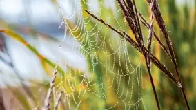 Poranek w Bocianim Gnieździe i te... mgły nad jeziorem Ryńskim - zdjęcie 8
