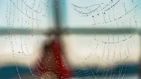 Poranek w Bocianim Gnieździe i te... mgły nad jeziorem Ryńskim - zdjęcie 43