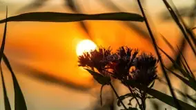 Sierpniowy zachód słońca nad jeziorem Dargin - zdjęcie 28