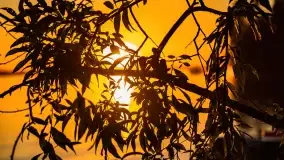 Sierpniowy zachód słońca nad jeziorem Dargin - zdjęcie 8