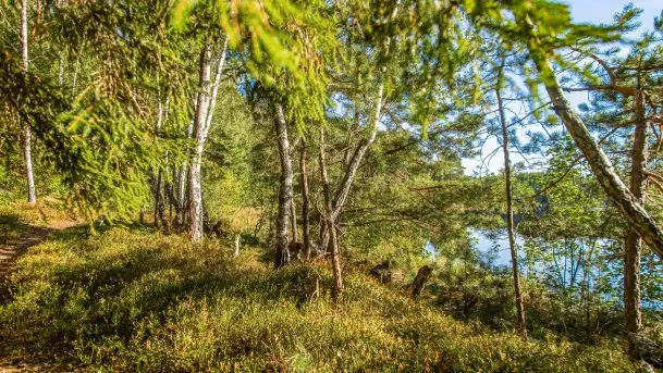 Jezioro Wesołek i puszcza Piska - zdjęcie 6