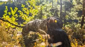 Jezioro Wesołek i puszcza Piska - zdjęcie 31