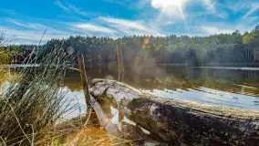 Jezioro Wesołek i puszcza Piska - zdjęcie 38