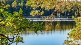 Jezioro Wesołek i puszcza Piska - zdjęcie 41