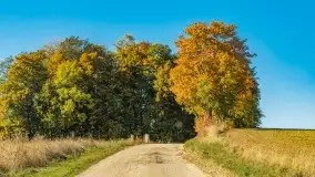 Jesień na mazurskich traktach, polach i łąkach, październik 2022 - zdjęcie 80