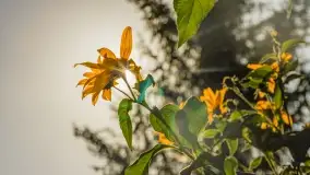 Jesień na mazurskich traktach, polach i łąkach, październik 2022 - zdjęcie 90