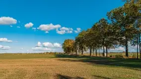 Jesień na mazurskich traktach, polach i łąkach, październik 2022 - zdjęcie 93