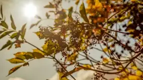 Jesień na mazurskich traktach, polach i łąkach, październik 2022 - zdjęcie 101