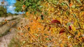 Jesień na mazurskich traktach, polach i łąkach, październik 2022 - zdjęcie 105