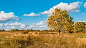 Jesień na mazurskich traktach, polach i łąkach, październik 2022 - zdjęcie 143