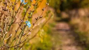 Jesień na mazurskich traktach, polach i łąkach, październik 2022 - zdjęcie 115