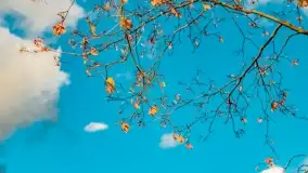 Jesień na mazurskich traktach, polach i łąkach, październik 2022 - zdjęcie 129