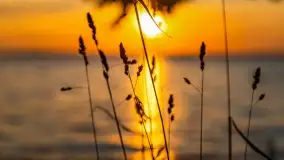 Zachód słońca w Pieczarkach, jezioro Dargin, lipiec 2022 - zdjęcie 30