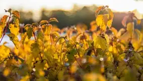 Zachód słońca w Rynie, październik 2022 - zdjęcie 32