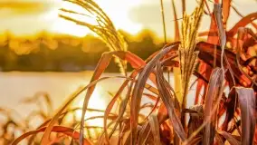 Zachód słońca w Rynie, październik 2022 - zdjęcie 26