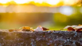 Jesienny zachód słońca nad jeziorem Mój, październik 2022 - zdjęcie 15