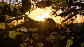 Jesienny zachód słońca nad jeziorem Mój, październik 2022 - zdjęcie 22