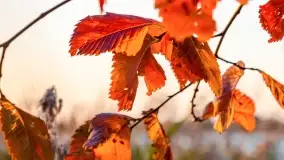 Jesienny zachód słońca nad jeziorem Mój, październik 2022 - zdjęcie 10