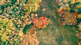 Fotograficzne podsumowanie jesieni na Mazurach 2022 - zdjęcie 111