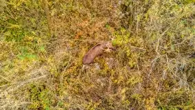 Fotograficzne podsumowanie jesieni na Mazurach 2022 - zdjęcie 81