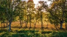 Fotograficzne podsumowanie jesieni na Mazurach 2022 - zdjęcie 68