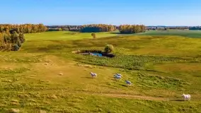 Fotograficzne podsumowanie jesieni na Mazurach 2022 - zdjęcie 78