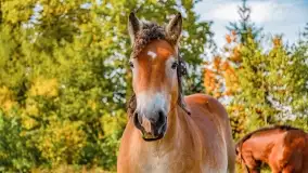 Fotograficzne podsumowanie jesieni na Mazurach 2022 - zdjęcie 129