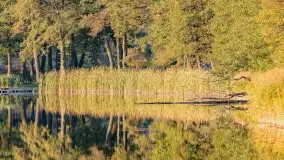 Fotograficzne podsumowanie jesieni na Mazurach 2022 - zdjęcie 51