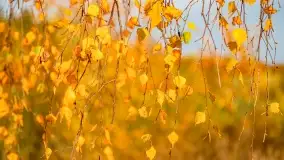 Fotograficzne podsumowanie jesieni na Mazurach 2022 - zdjęcie 27