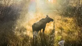 Fotograficzne podsumowanie jesieni na Mazurach 2022 - zdjęcie 3
