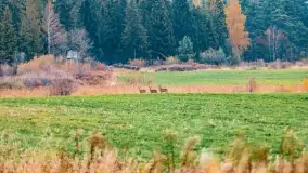 Fotograficzne podsumowanie jesieni na Mazurach 2022 - zdjęcie 2