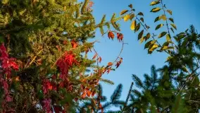 Zachód słońca w Maciejkach, niedaleko Mazur - zdjęcie 5