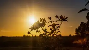 Zachód słońca w Maciejkach, niedaleko Mazur - zdjęcie 13