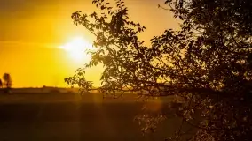 Zachód słońca w Maciejkach, niedaleko Mazur - zdjęcie 10