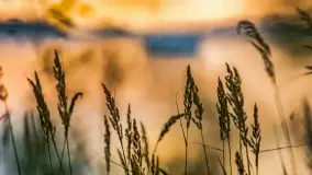 Zachód słońca nad jeziorem Dargin, wrzesień 2022 - zdjęcie 18