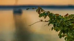 Zachód słońca nad jeziorem Dargin, wrzesień 2022 - zdjęcie 21