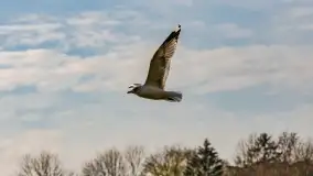 Jesienny Kętrzyn, październik 2022 - zdjęcie 40