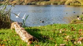 Jesienny Kętrzyn, październik 2022 - zdjęcie 12