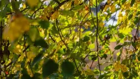 Jesienny Kętrzyn, październik 2022 - zdjęcie 25