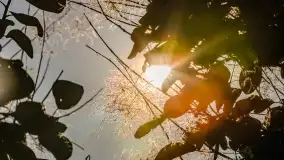 Jesienny Kętrzyn, październik 2022 - zdjęcie 47