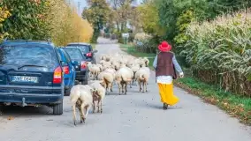 Fotorelacja - I Redyk Mazurski, Sołdany 2022 - zdjęcie 12