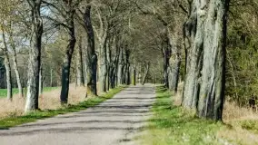 Mazurski las u progu wiosny, marzec 2020 - zdjęcie 14