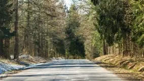 Mazurski las u progu wiosny, marzec 2020 - zdjęcie 37