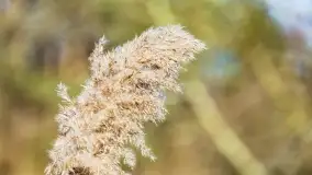 Mazurski las u progu wiosny, marzec 2020 - zdjęcie 22