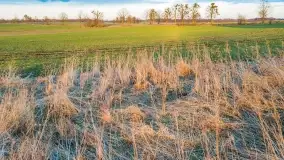 Końcówka zimy 2021, zdjęcia z drona - zdjęcie 15