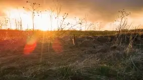 Końcówka zimy 2021, zdjęcia z drona - zdjęcie 1