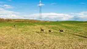 Końcówka zimy 2021, zdjęcia z drona - zdjęcie 24