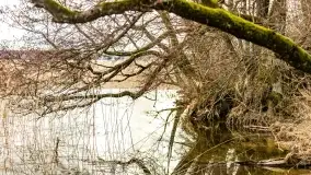 Przedwiośnie na mazurskich polach i łąkach, marzec 2021 - zdjęcie 16