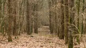 Przedwiośnie na mazurskich polach i łąkach, marzec 2021 - zdjęcie 55